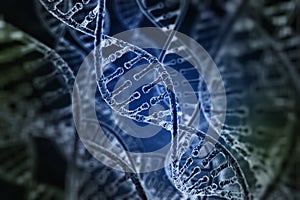 Spiral strands of DNA photo