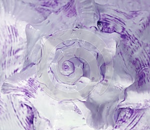 Spiral and texture of Branched Murex sea shell in light purple color, closed up