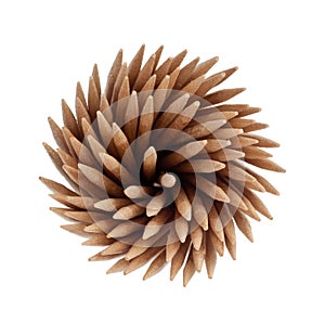 Spiral toothpicks