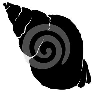 Spiral twisted seashell silhouette