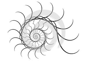 Spiral vector design elements. Abstract lines black and white. Swirl background