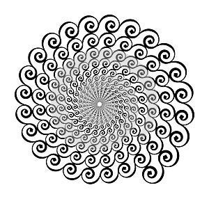 Spiral vector pattern of curls, spirals on a white background. Isolated pattern. Black and white, monochrome