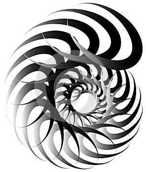 Spiral volute, snail shape, element. Rotating, twirling abstract
