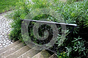 spiral warehouse overgrown with sage bushes. garden stairs romantic