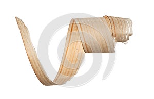 Spiral wooden shaving isolated on white background