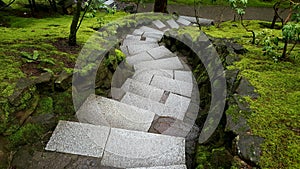Spiralling lush green stairs