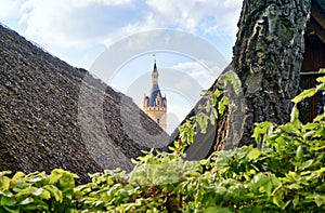 Spire of Schwerin Castle between thatched roofs