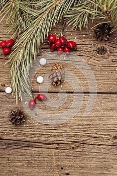 Spirit Christmas background. Fresh dog-rose berries, ball candies, pine branches and cones, artificial snow. Nature decorations,