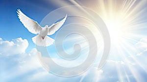 Spirit of god background banner panorama - White dove with wings wide open in the blue sky air with clouds and sunbeams