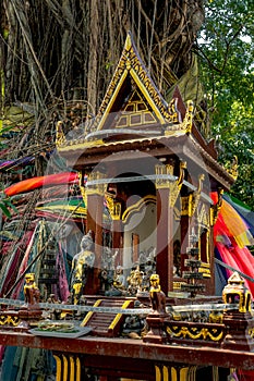 A spirit house with an old banyan tree behind it.