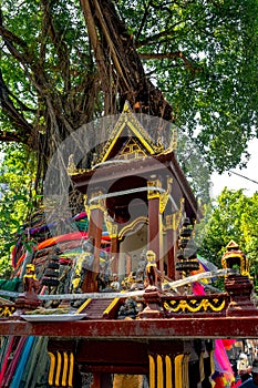 A spirit house with an old banyan tree behind it.