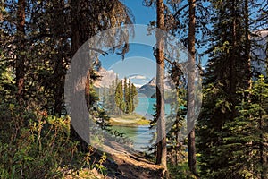 Spirit Island in Maligne Lake in Jasper National Park