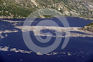 Spirit Lake with log rafts of trees blown down in eruption of 1980