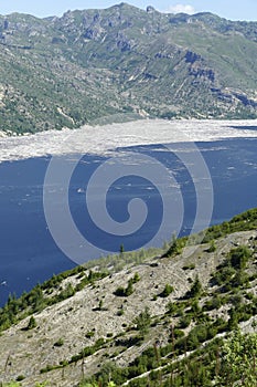 Spirit Lake with log rafts of trees blown down in eruption of 1980