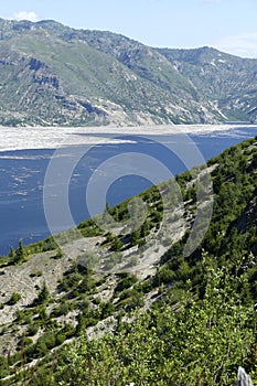 Spirit Lake with log rafts of trees blown down in eruption of 1980