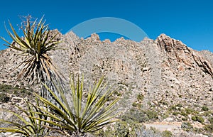 Spirit Mountain in southern Nevada