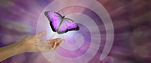 Spirit Release depicted by a magenta Butterfly taking flight