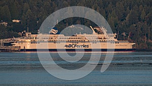 The spirit of Vancouver . Early summers morning off the Vancouver Island Coast .