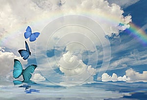 Spiritual background with colorful butterflies and rainbow  in sea reflection ground
