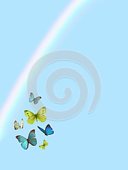 Spiritual background for meditation with butterflies and rainbow isolated in color background