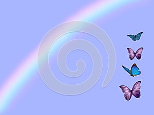 Spiritual background for meditation with butterflies and rainbow isolated in color background