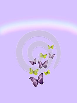 Spiritual background for meditation with butterflies and rainbow isolated in color background