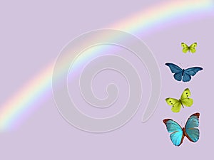 Spiritual background for meditation with butterflies and rainbow isolated in color background