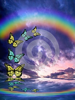 Spiritual background for meditation with butterflies and rainbow in sea reflection