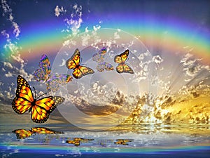 Spiritual background for meditation with butterflies and rainbow in sea reflection