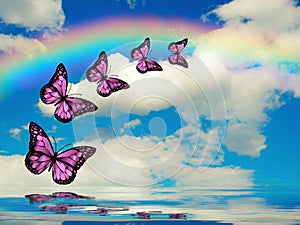 Spiritual background for meditation with butterflies and rainbow in sea reflection