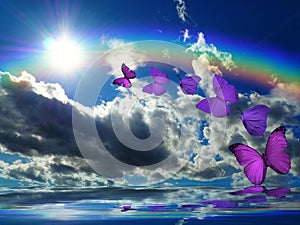 Spiritual background for meditation with butterflies and rainbow in sea reflection