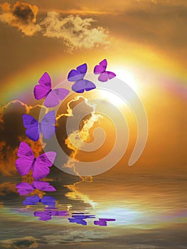 Spiritual background for meditation with butterflies and rainbow in sea reflection