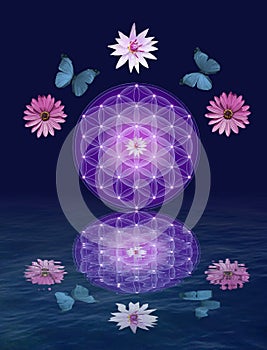 Spiritual background for meditation with life flower and yin yang symbol isolated in color background