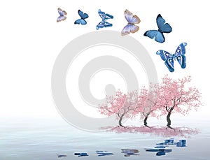 Spiritual background with trees and butterflies isolated in color background