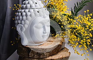 Spiritual ritual meditation face of Buddha on wood, home decor, mimosa yellow spring flowers