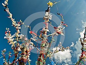 Spiritual Tree with Flags