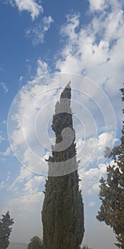 Spiritual trip  mount Nebo