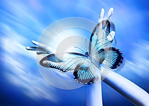 Spirituality Hands Butterfly Transformation Psychology