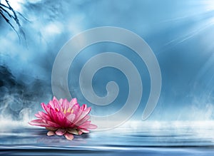 Spirituality zen with waterlily