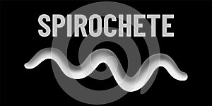 Spirochete bacteria monochrome vector illustration on black background. Virus concept