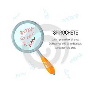 Spirochete research vector