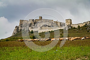 Spis Castle in Slovakia. A monument on a hill.