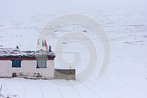 A Traditional House - Snow Covered Farm in Langza Village, Spiti Valley, Himachal Pradesh