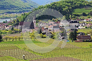 Spitz in Wachau