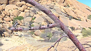 Spitzkoppe, unique rock formation in Damaraland, Namibia