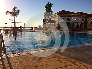 Splach in a swimming pool with bright sun and palm tree