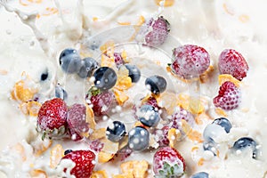 Splash corn flakes with fresh berries and pouring milk