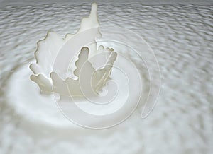 Splash, drops of milk