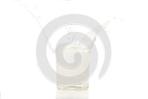 Splash of milk in a glass on white