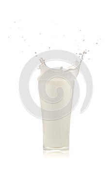 Splash of milk in a glass on White background